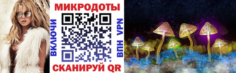 дарнет шоп  Чулым  Галлюциногенные грибы Psilocybe 